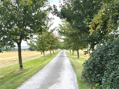 Picture 26